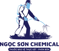 Ngọc Sơn Chemical